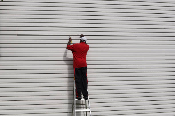 Best Stone Veneer Siding  in Bushyhead, OK