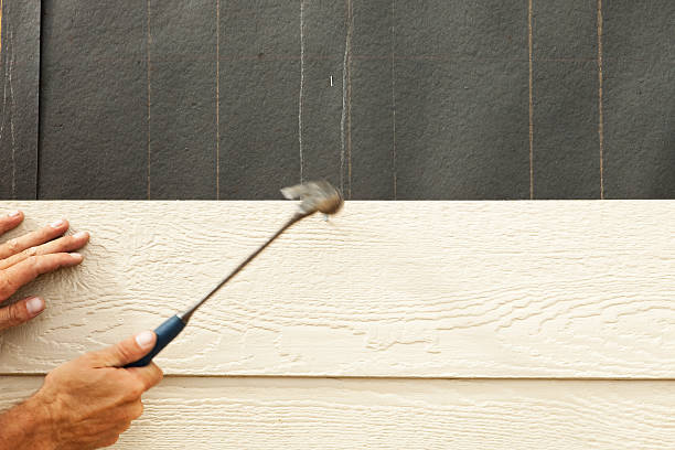 Best Fiber Cement Siding Installation  in Bushyhead, OK